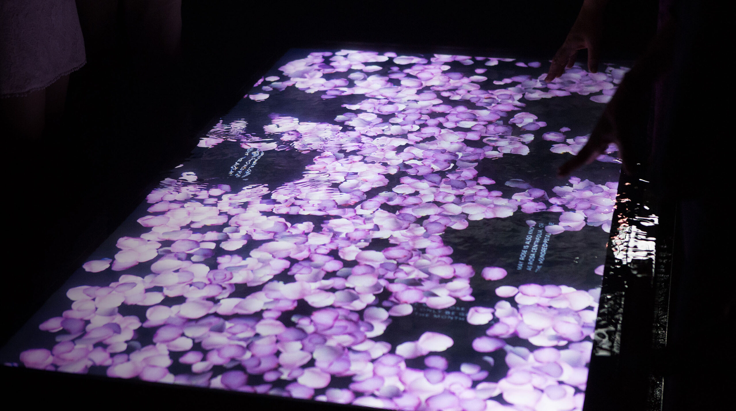 CN5_CULTIVATION_2860x1600