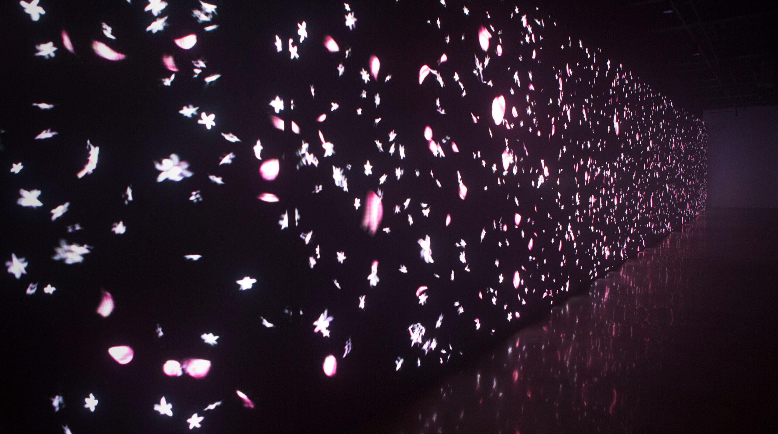 CN5_LED-PETALS05_2860x1600-1